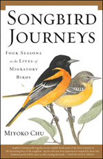 Four Seasons in the Lives of Migratory Birds