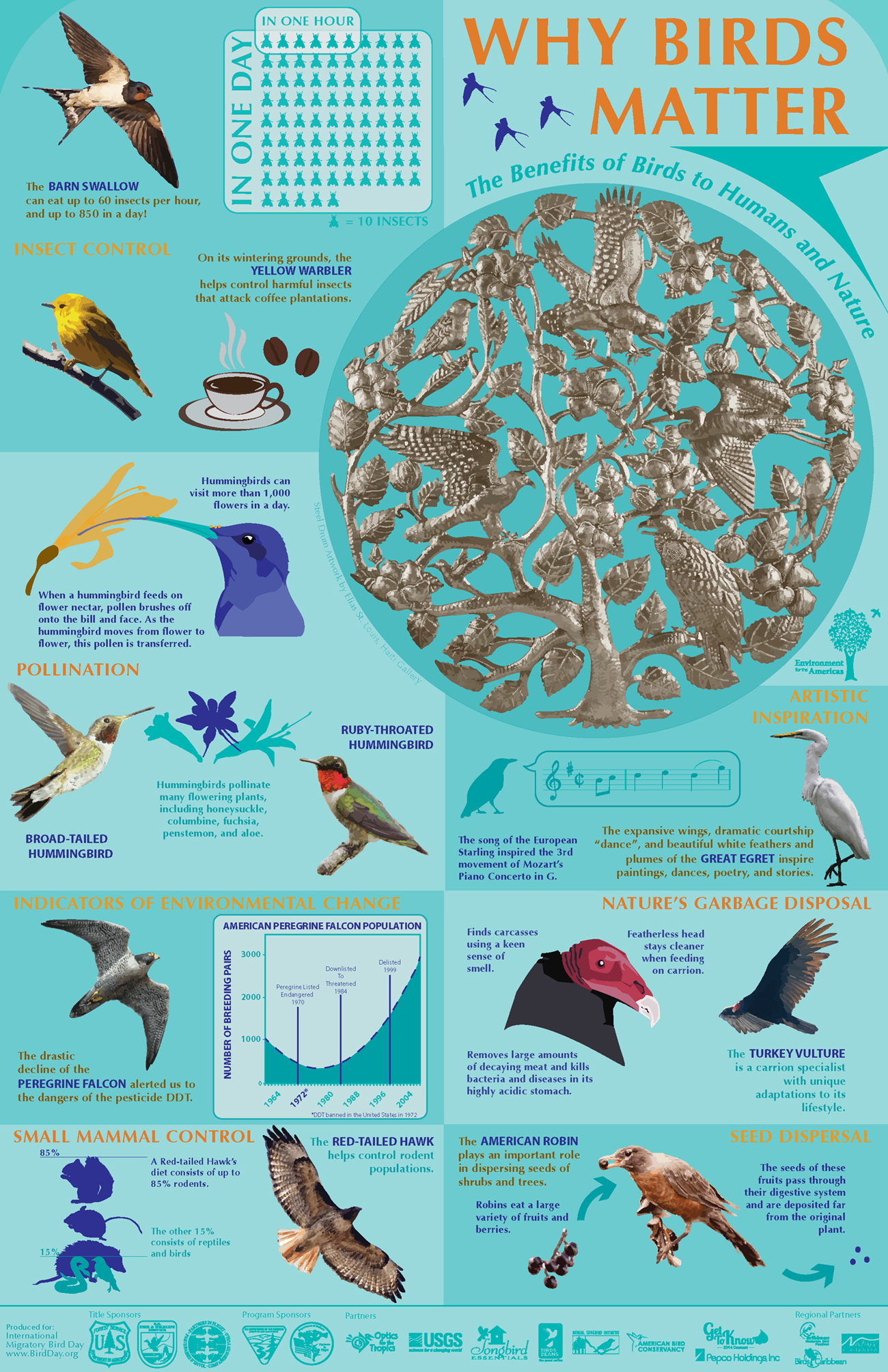 International Migratory Bird Day Boreal Songbird Initiative