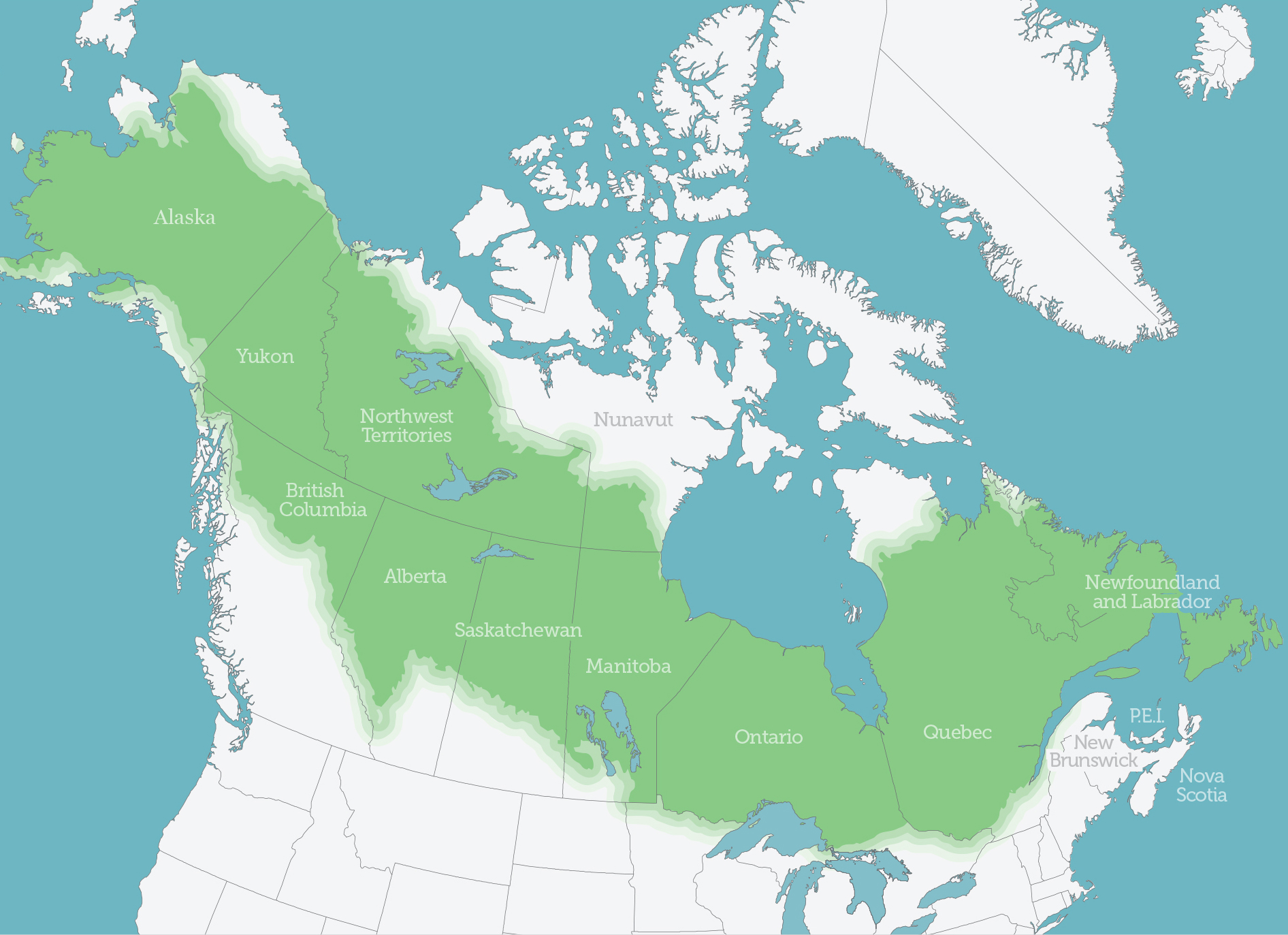 North America - Boreal Forest, Wildlife, Ecosystems